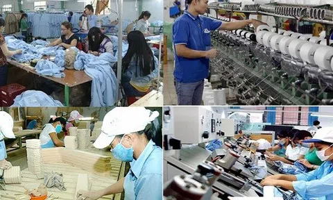 Kế hoạch triển khai một số cơ chế, chính sách đặc biệt phát triển kinh tế tư nhân