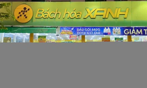 CEO Bách Hóa Xanh muốn 'chốt lời' 200.000 cổ phiếu Thế Giới Di Động