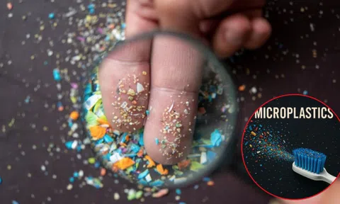 Không ai ngờ: Mỗi năm người Việt nuốt 49.000 hạt vi nhựa từ vật dụng quen thuộc này