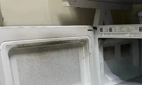 Cho trà sữa vào lò vi sóng trong 30 giây, tôi suýt làm cháy nhà: 3 thực phẩm này không bao giờ được cho vào lò vi sóng