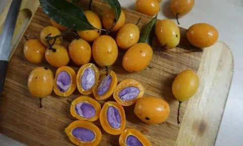 Loại quả dùng để nấu canh chua ngon hơn sấu, được ví như thuốc bổ, bán đầy chợ giá chỉ vài chục nghìn/cân