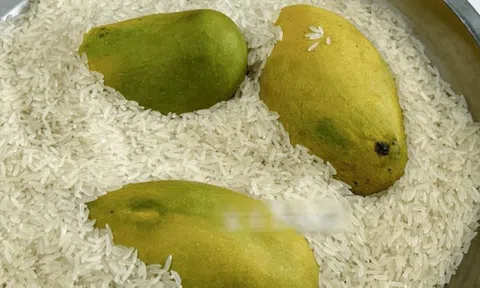 5 "bí mật" của gạo khiến 90% người kinh ngạc: Không ngờ thứ ăn hàng ngày lại "đỉnh chóp" như thế!