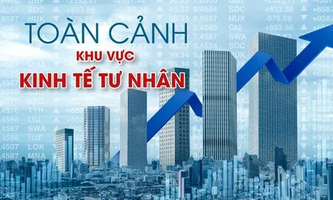 Toàn cảnh khu vực kinh tế tư nhân