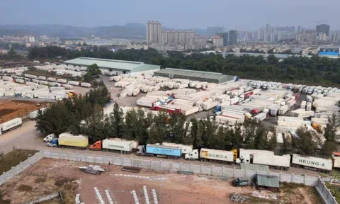 Thủ phủ xuất nhập khẩu tỷ đô của VN: 2.000 DN hoạt động, hàng hoá "bay" khắp 80 quốc gia, vùng lãnh thổ