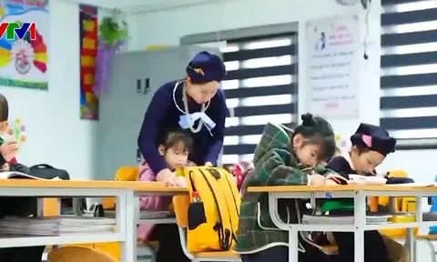 Vì sao không nên kiểm định trường mầm non, phổ thông qua tổ chức kiểm định?