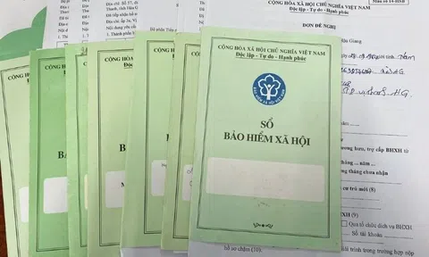 Những loại bảo hiểm nào người lao động bắt buộc phải đóng khi đi làm?