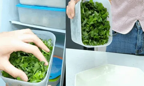 Bí quyết giữ rau thơm tươi lâu: Có nên trữ đông rau mùi (ngò rí)? Vì sao để tủ lạnh lại bị thâm đen?