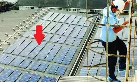 DN hàng đầu thế giới có hơn 15.000 nhân viên muốn trợ giúp Việt Nam trong lĩnh vực sẽ mang về 160 tỷ USD