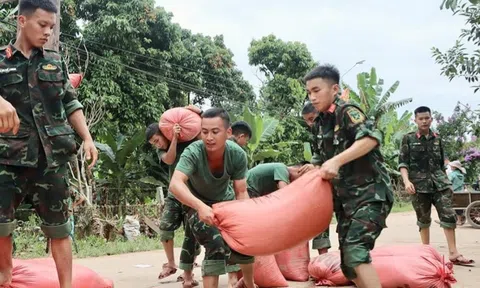 Cơ sở sấy lúa chạy hết công suất, hỗ trợ bà con vùng lũ Hà Tĩnh
