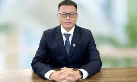 Novaland có thêm người đại diện pháp luật