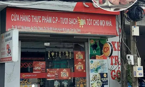 Hé lộ thông tin bất ngờ về người tố C.P. Việt Nam bán heo bệnh ra thị trường