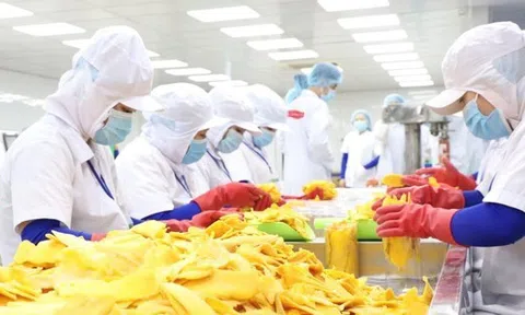 Vật vã trong ‘nắng hạn’ lâu năm, doanh nghiệp Việt vừa gặp được ‘mưa rào'