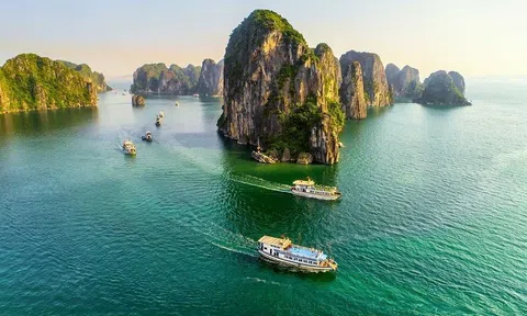 Tăng trưởng 1 tầng lớp ở VN thuộc hàng cao nhất châu Á, giai đoạn vàng của ngành có doanh thu 34 tỷ USD