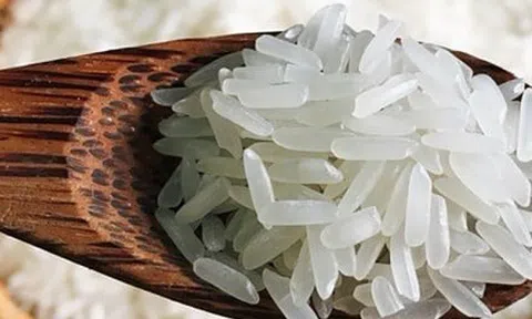 Cách nhận biết gạo ST25 thật