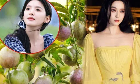 Nước ép "chống nắng" của Phạm Băng Băng, Chương Nhược Nam: Giá rẻ bèo ở Việt Nam, tận dụng có thể làm trắng da, xóa nếp nhăn thần thánh