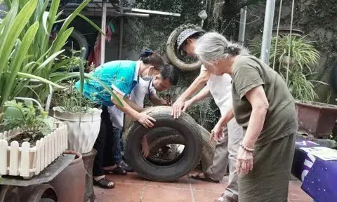 Hà Nội: Sốt xuất huyết, sởi và COVID-19 có xu hướng gia tăng