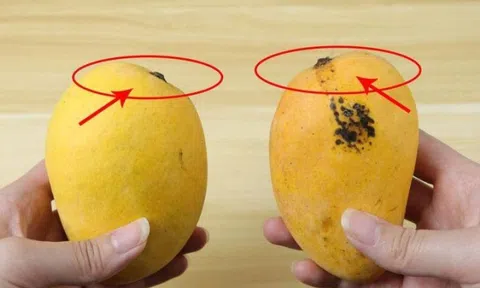 Dân buôn xoài có 4 mẹo chọn xoài chuẩn, chín ngọt tự nhiên, quả nào thịt cũng dày mà hạt siêu lép