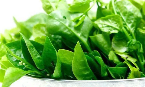 "4 không" khi ăn rau mồng tơi, biết mà tránh kẻo hối hận