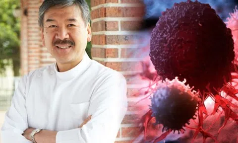 15 năm không tái phát ung thư: Bác sĩ Nhật Bản chia sẻ 5 bí quyết đơn giản để tế bào ác tính "không dám quay lại"