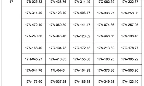 178 phương tiện chạy quá tốc độ có biển số sau nhanh chóng nộp phạt nguội theo Nghị định 168