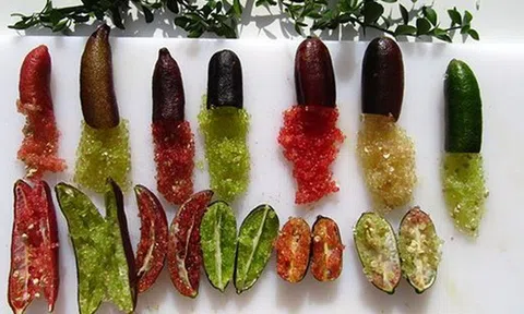 Loại quả bé như ngón tay "đắt nhất thế giới", giá lên tới 3 triệu đồng/kg