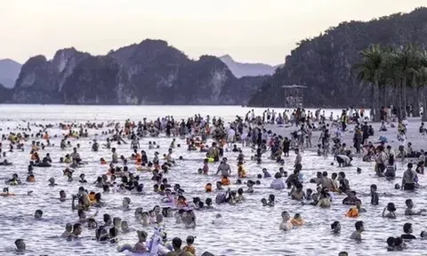 Nguy cơ mất an toàn ở bãi tắm Hạ Long