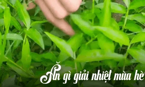 "Loại rau" gây ngỡ ngàng nhất mùa hè này: Tưởng là cỏ mọc dại nhưng nấu được loạt món ngon giúp thanh nhiệt cực tốt