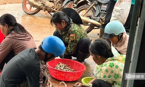Kiếm tiền triệu mỗi ngày nhờ “lộc trời”