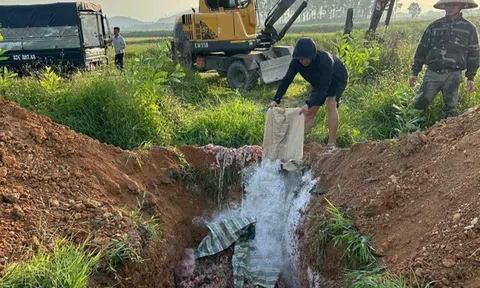 Nghệ An “lập barie” ngăn chặn nội tạng động vật bốc mùi tuồn vào thị trường