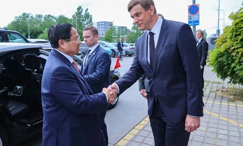 Gặp công ty “gỡ khó” cho Nhật, Ukraine... trong 1 lĩnh vực, Thủ tướng thống nhất thành lập tổ công tác