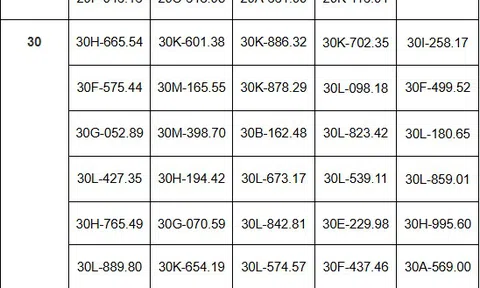 301 xe máy, ô tô có biển số Hà Nội sau phải nộp phạt nguội theo Nghị định 168