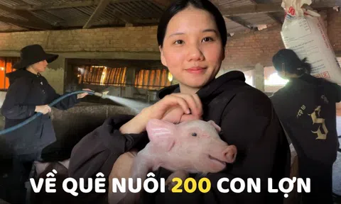 Gen Z rời TP.HCM về quê nuôi 200 con lợn