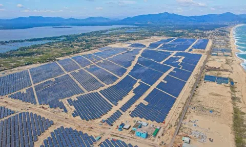 Bamboo Capital có sếp mới 30 tuổi