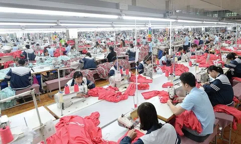 May Sông Hồng có bị ảnh hưởng trong thời gian tới khi Mỹ là thị trường chủ lực?