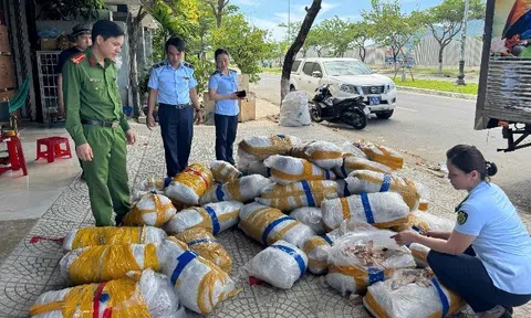 Phát hiện hơn 700kg mực khô bị vứt bỏ trên vỉa hè ở Đà Nẵng