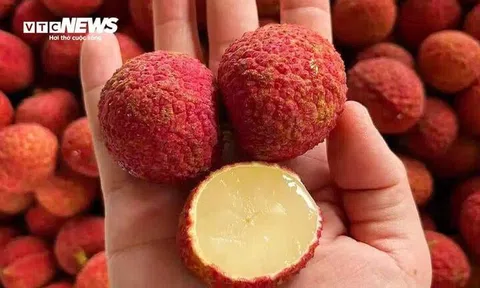 Vải không hạt Trung Quốc đổ bộ chợ Việt, giá gần 1 triệu đồng/kg