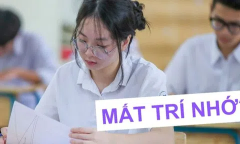 Phát hiện loạt thí sinh thi lớp 10 có triệu chứng "mất trí nhớ tạm thời", thầy giáo hài hước: "Chiến thuật khôn ngoan đấy"
