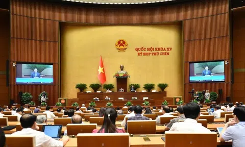Ngày 14/6, Quốc hội biểu quyết thông qua Luật Thuế tiêu thụ đặc biệt (sửa đổi)