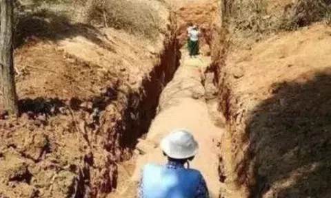 Đang làm ruộng, lão nông bất ngờ phát hiện khúc gỗ trị giá 600 tỷ đồng