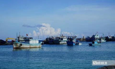 2 tàu cá bị chìm trên biển, 13 thuyền viên thoát nạn