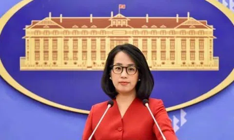 Việt Nam trở thành nước đối tác của BRICS