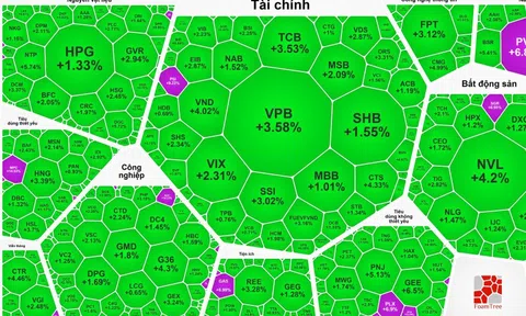 Sắc tím nở rộ trong nhóm dầu khí, VN-Index tiến thẳng mốc 1.340 điểm