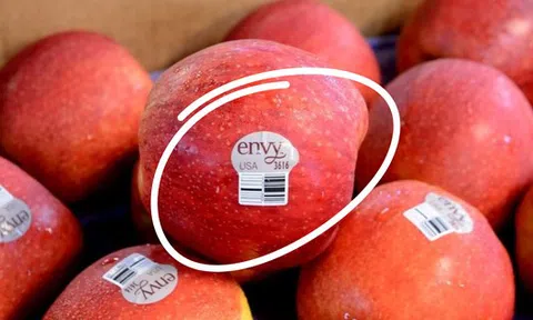 Dãy số "lạ" trên tem trái cây nhập khẩu: Rất dễ hiểu nhưng 90% người chẳng hiểu gì