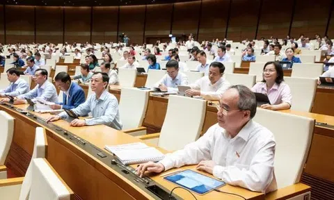 Công chức, viên chức không được thành lập, góp vốn và quản lý doanh nghiệp
