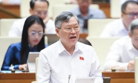 ĐBQH: Cần chế tài đủ mạnh để triệt hàng giả, hàng nhái