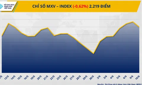 Lực bán mạnh quay lại, MXV-Index chấm dứt chuỗi tăng điểm