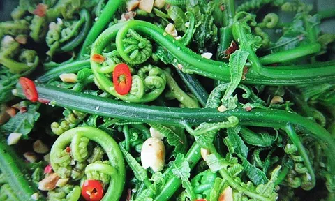 1 loại rau mọc dại ở Việt Nam được người Trung Quốc xem là “rau trường thọ”, sang tận nơi để thu mua: Giá ngang thịt bò, bổ tựa nhân sâm