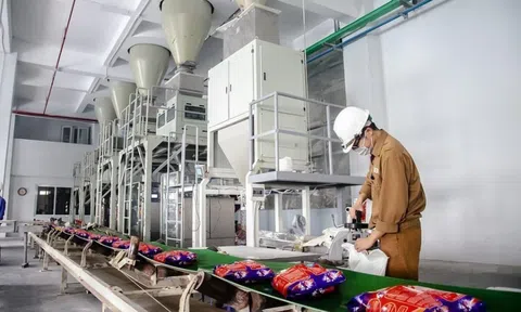 Cổ phiếu DGC của Hóa chất Đức Giang được kỳ vọng lấy lại mốc 100.000 đồng