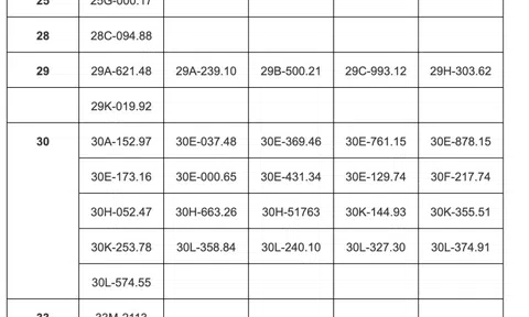 85 chủ xe vượt đèn đỏ, chạy quá tốc độ quy định có biển số sau phải đóng phạt nguội theo Nghị định 168