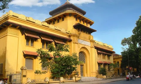 ĐH "Oxford Việt Nam" lọt top 761–770 đại học hàng đầu thế giới, thăng hạng hơn 100 bậc